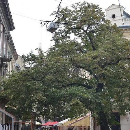 In The Center Of * Львов
