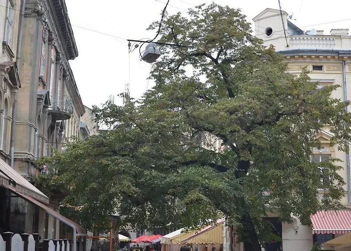 In The Center Of * Leópolis